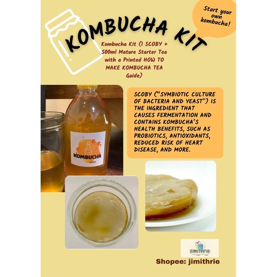 Kombucha Kit (1 SCOBY in 500 ml matured starter Tea with Printed ...