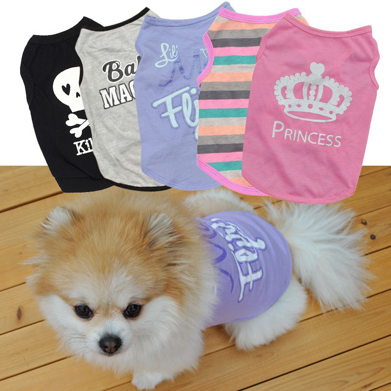 small pet clothes