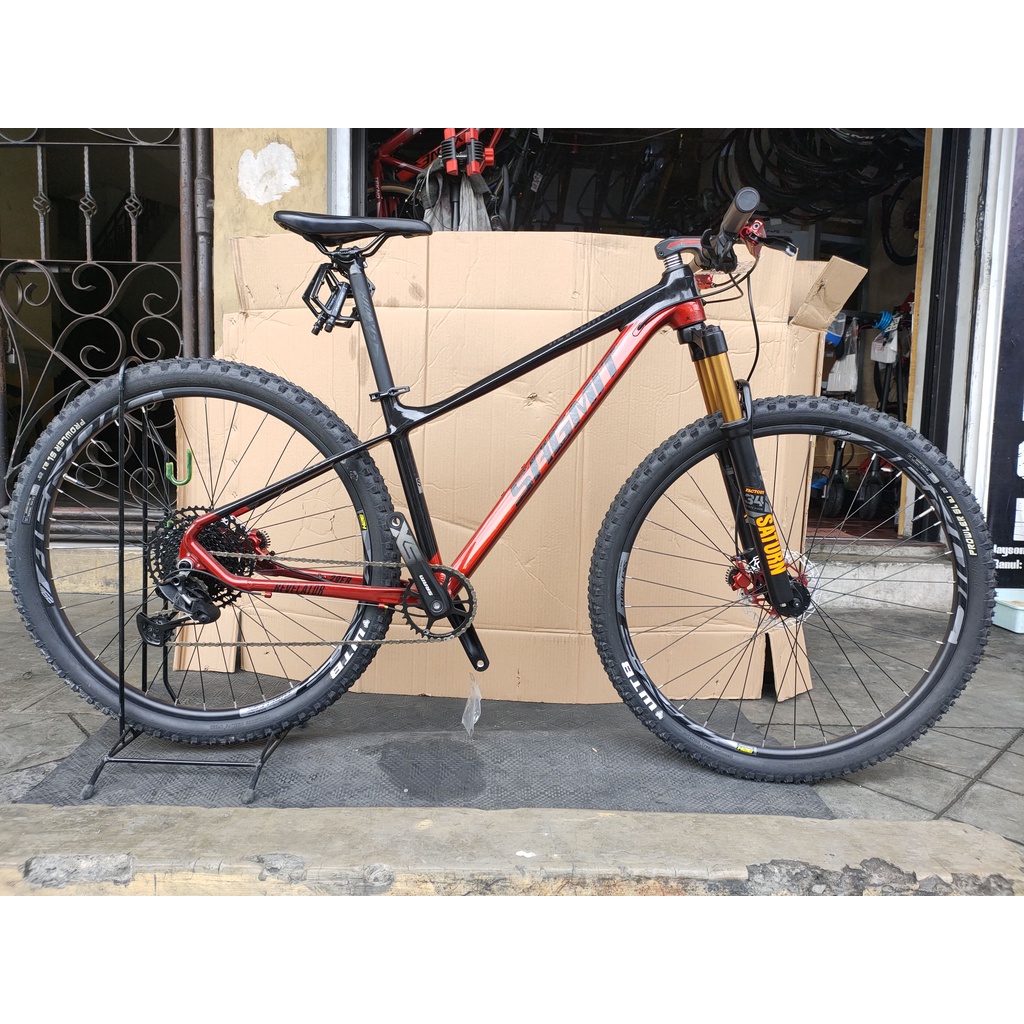 sagmit revelator frame