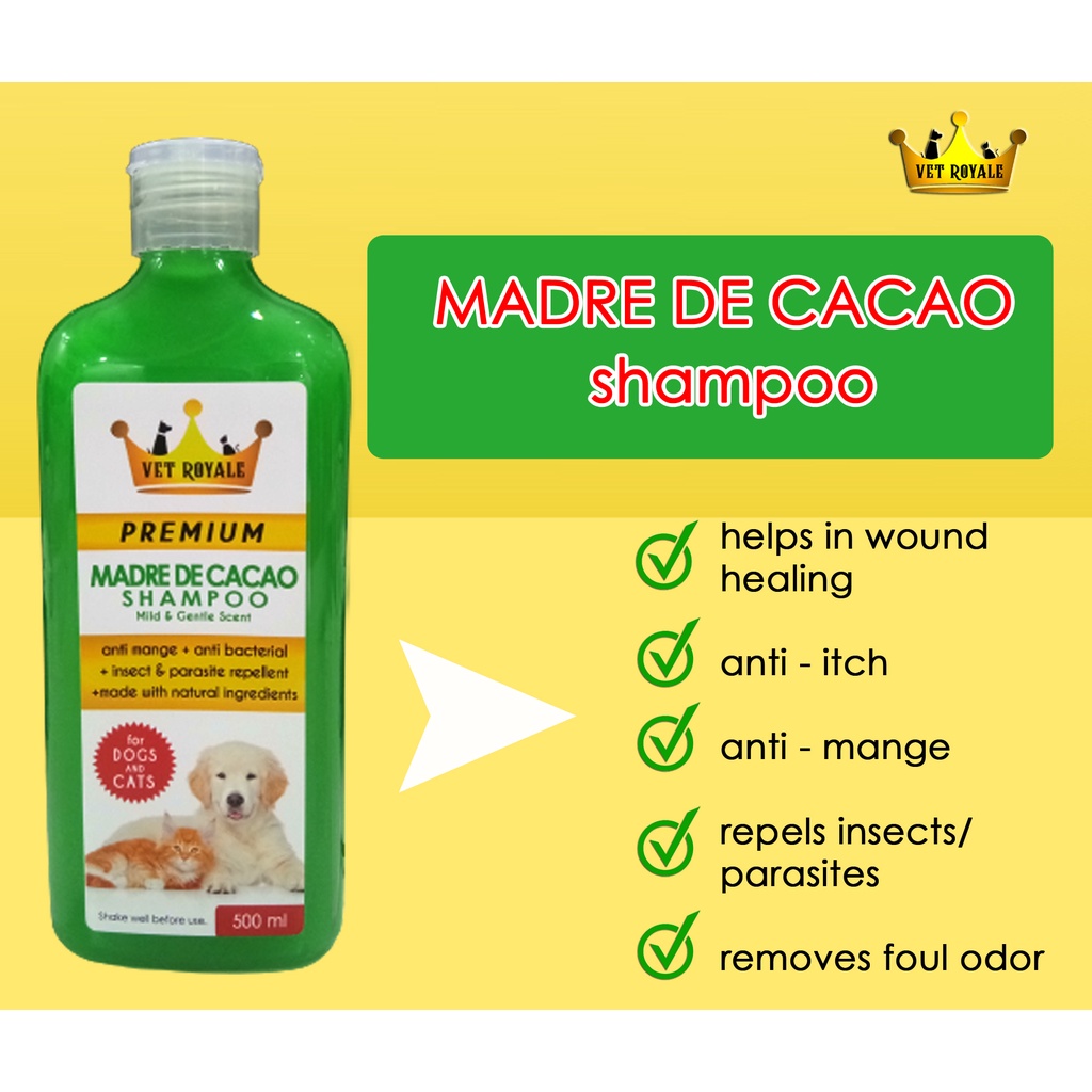 Madre de Cacao Shampoo 500ml Shopee Philippines