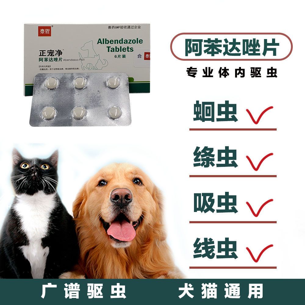 Dog deworming medicine in vivo dog and cat general teddy cat pet