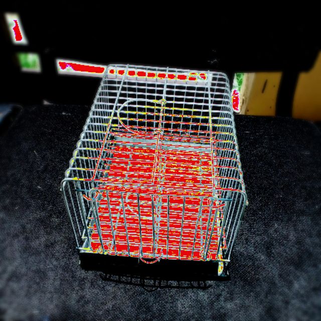 bird carrier cage