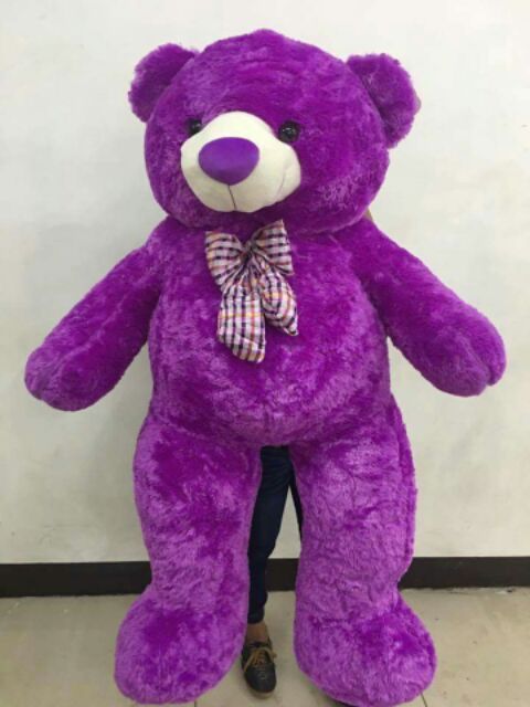 violet teddy bear