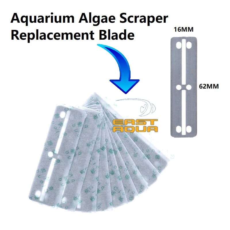 Algae Scraper Replacement Blade Stainless Blade Replacement Shopee