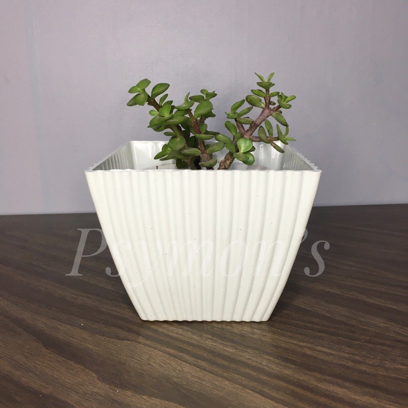 5x4 corrugated plastic plant pot for cactus and succulents pa