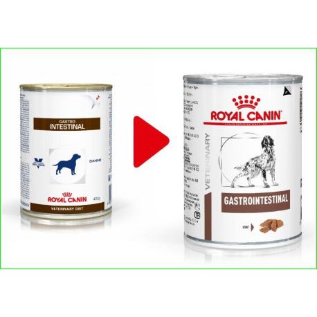 gastrointestinal canine royal canin