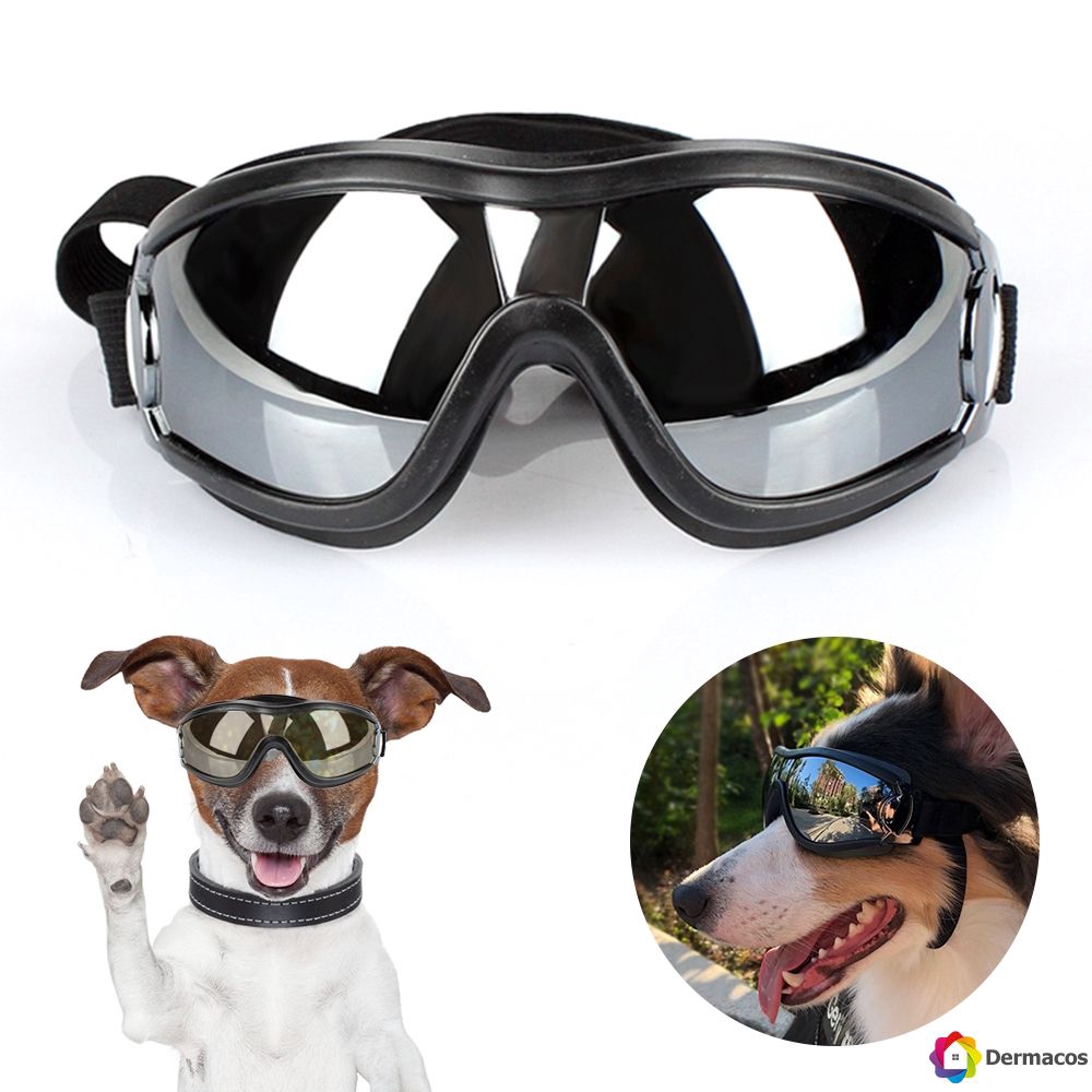 protective eyewear for dogs