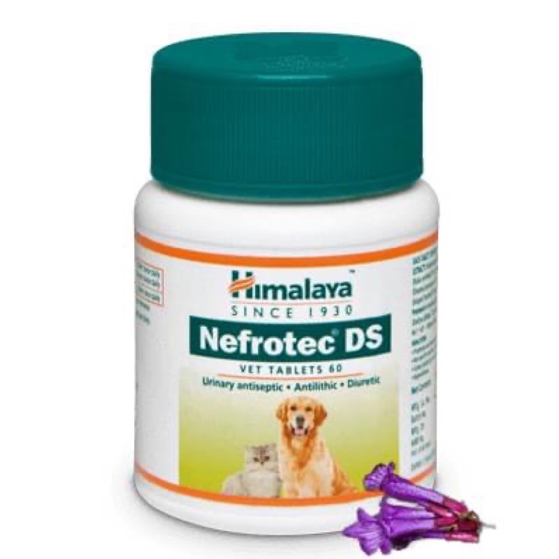Himalaya Nefrotec Ds #4