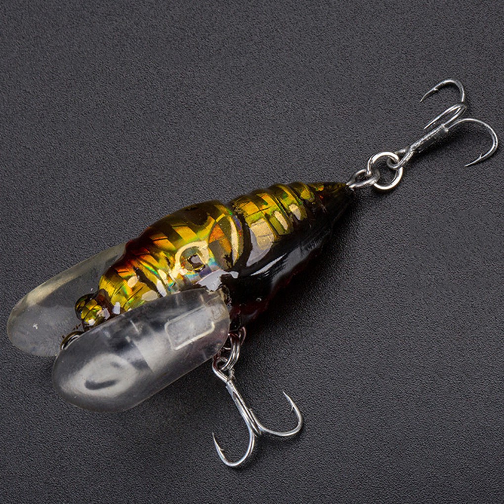 cicada fishing lure