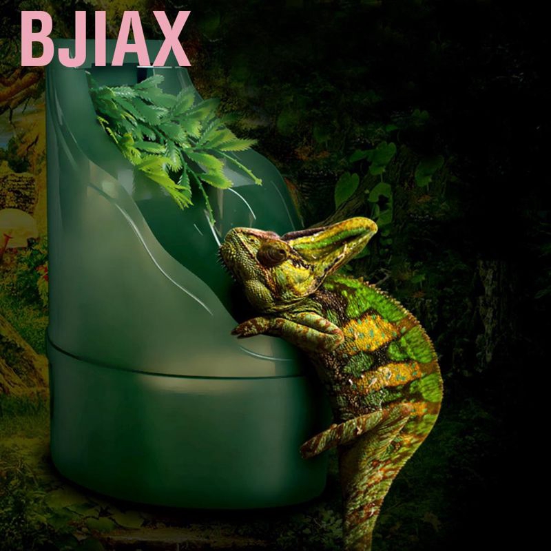 reptile water dispenser