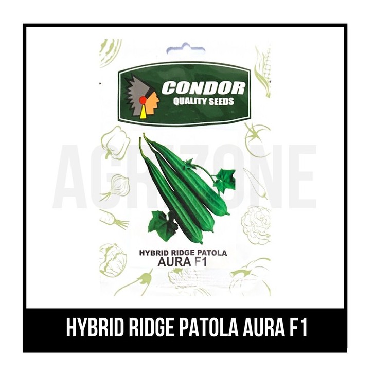 Condor Hybrid Ridge Patola Aura F1 Shopee Philippines