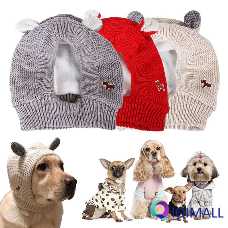 dog hats