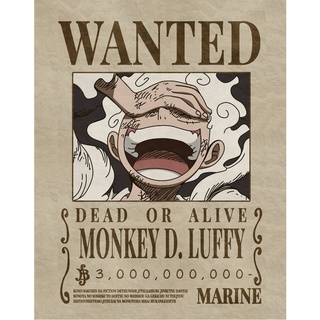 straw hat luffy wanted poster