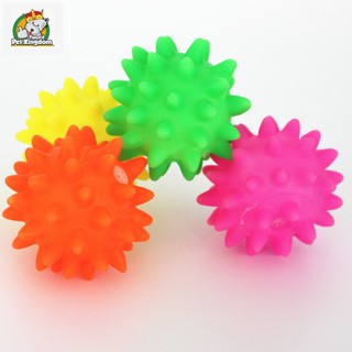 Pet Dog Squeaky Spike Ball Chew Ball Toys | Shopee Philippines