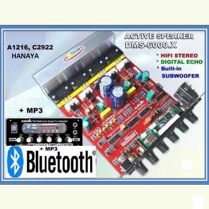 DMS6000X Power Amplifier Module Kit with Bluetooth 2 Mic and Subwoofer