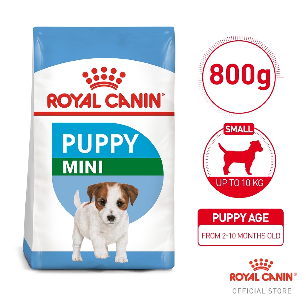 royal canin mini junior 800g