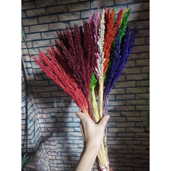 per piece trigo dried flowers Shopee Philippines