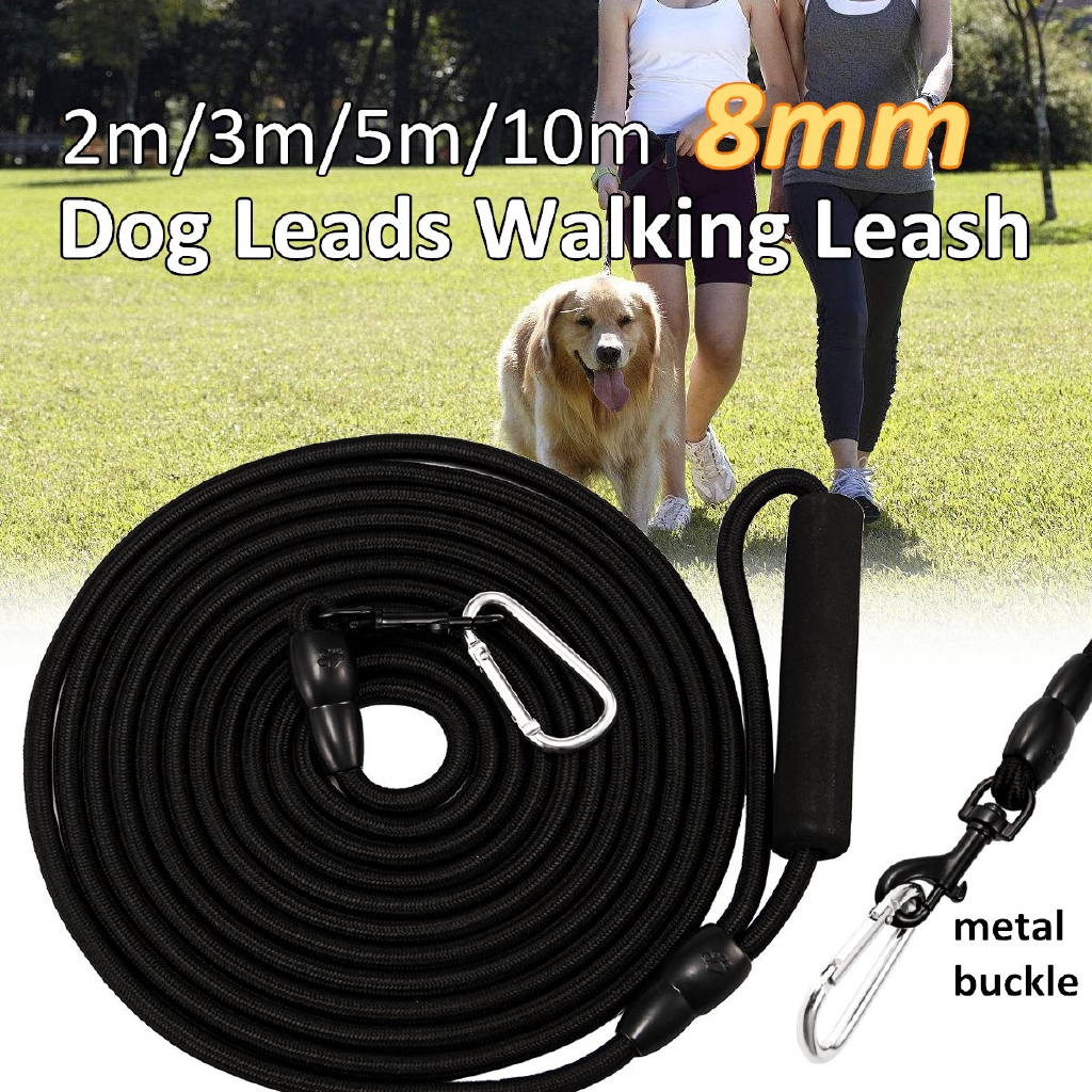 long line leash training