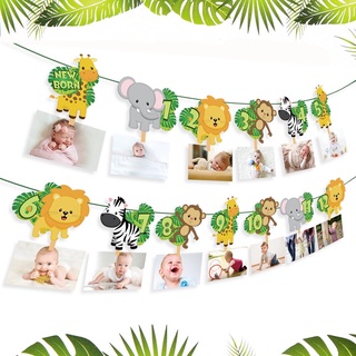 1-12 month Photo Banner Animal Banner Jungle Safari 1st Birthday Bunting Party Supplies Wild One