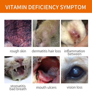 PUAINTA 30ml Vitamin B Complex Solution For Pet Eye Protection Promotes Fur Growth Wound Healing Oral Mucosa Repair Vitamins Dog & Cats #5