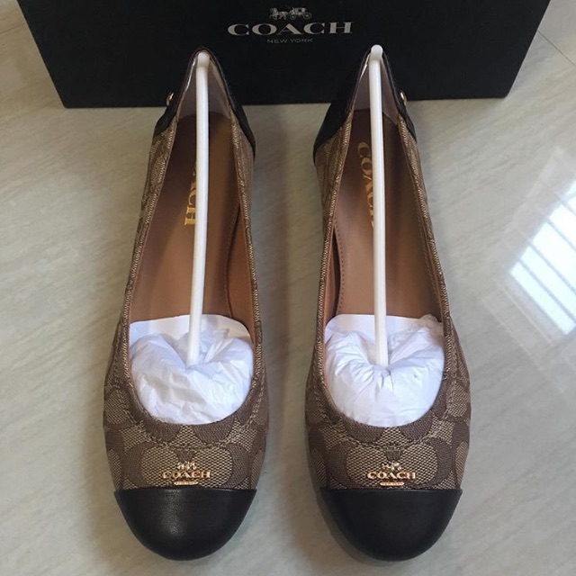 coach chelsea flat shoes