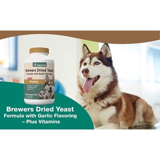 NaturVet Brewers Dried Yeast Plus Vitamins (100 / 500 chewable tabs)