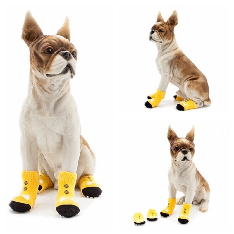 dog boots