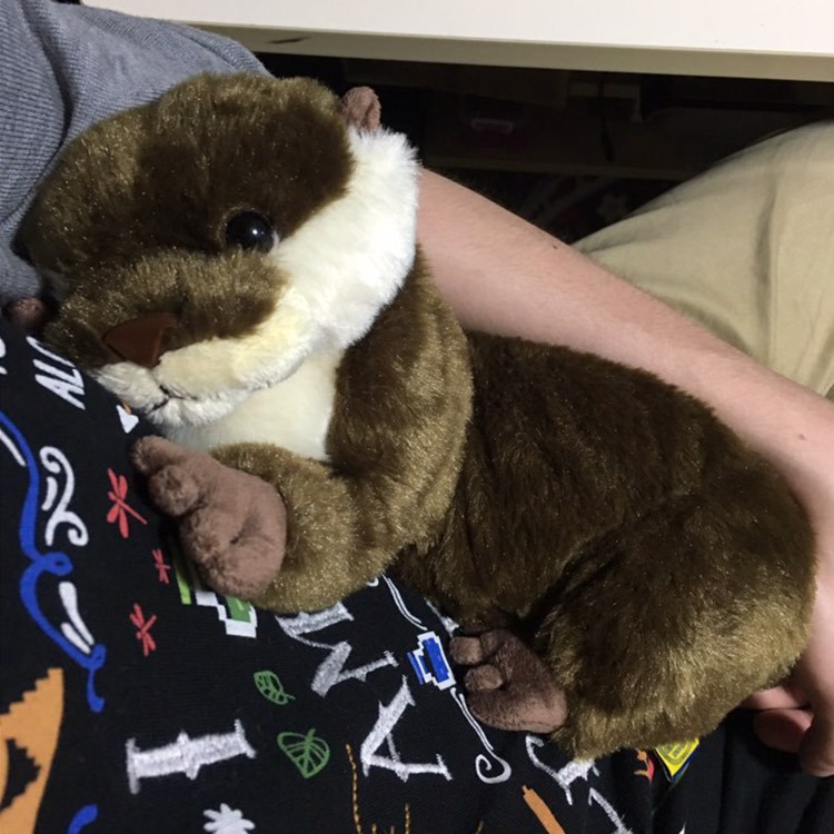 sad otter plush