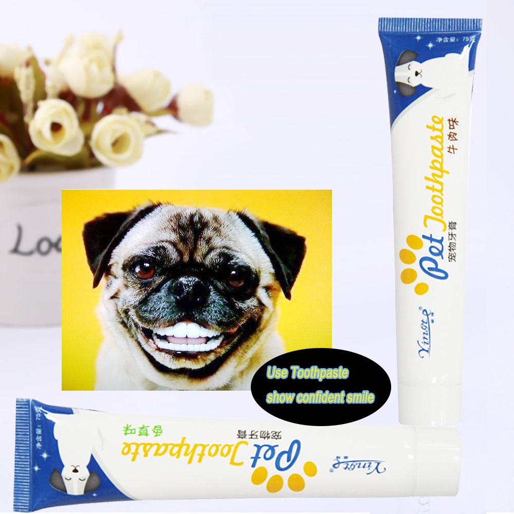 75g Beef Vanilla Flavored Pet Dog Toothpaste Enzymatic Puppy Toothpaste