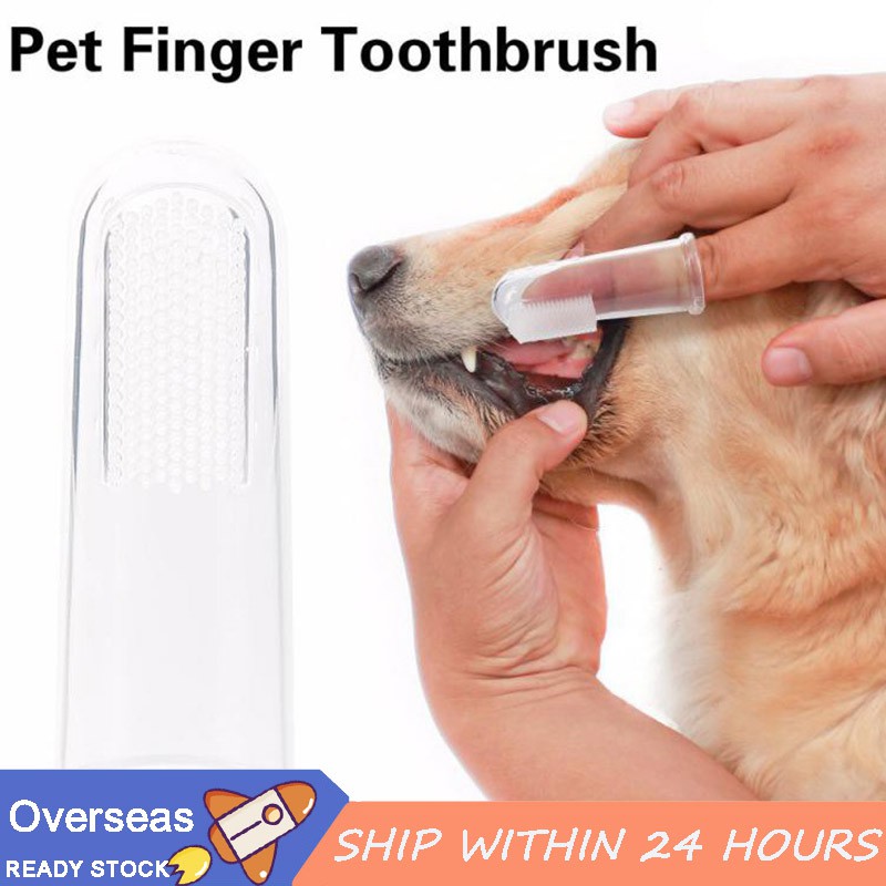 puppy finger toothbrush