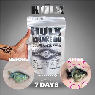 HULX AWAKE 80% (100G) PROTEIN(Goldfish-Betta-Guppies)