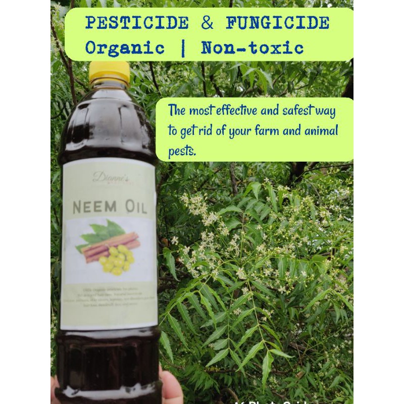 NEEM OIL for plants & animal pests, hair growth, acne 1L | Shopee  Philippines