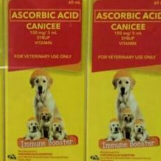 ascorbic acid in urine dog