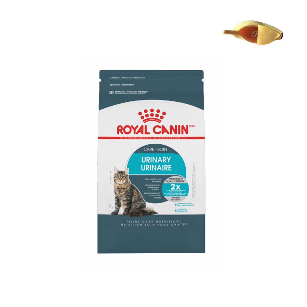 royal canin urinary care dry cat food