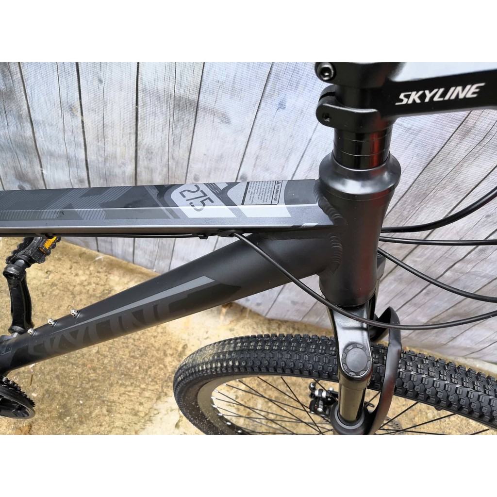 skyline bike price