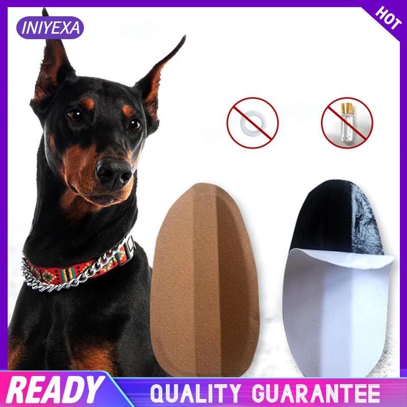 Pet Dog Ear Stand Corrector Tool Dog Ear Stand Up Sticker for Doberman Pinscher Dog Samoyed