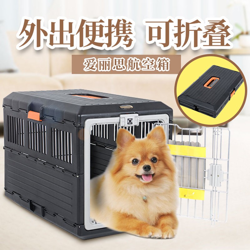 trunk cage for dogs