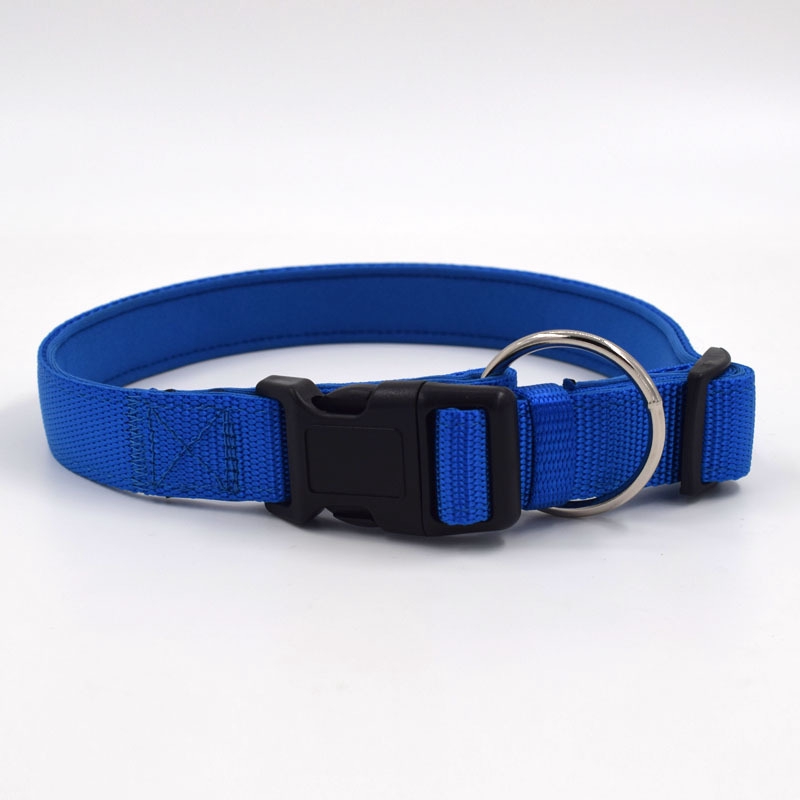 o ring dog collar