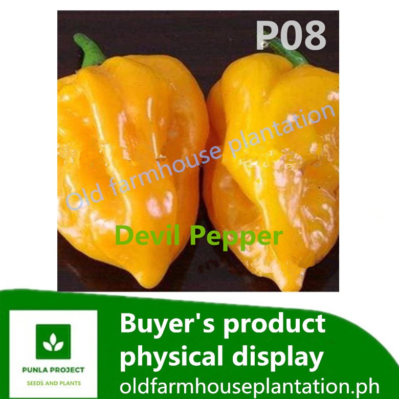 Carolina Reaper Pepper Seeds Ghost Pepper Devil Pepper Seeds Vegetables