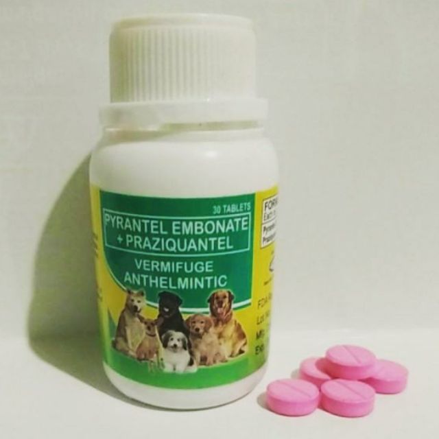 Vermifuge Dewormer Pet Tablet 1pcs Shopee Philippines