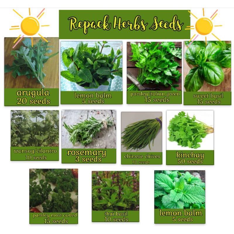 Repack Herbs Seeds Rosemary,Arugula,Basil,Chives,Wansoy/Cilantro