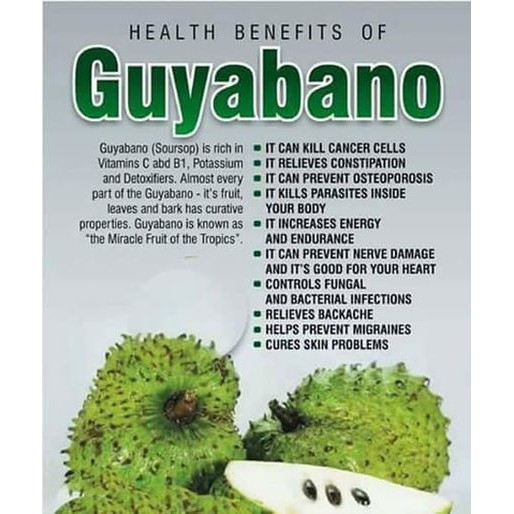 First Vita Plus Guyabano Natural Health Drink Gold With Power Herbs Shopee Philippines