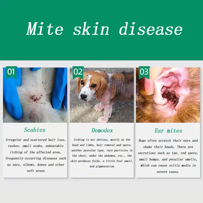 Cure For Dog Skin Disease 100% Genuine | clc.cet.edu