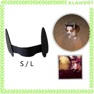 [alahe] Dog Ear Stand up Support Ear Care Tools Ear Sticker Erect Ear for Small Medium Large