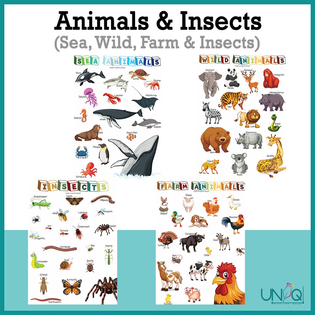 UNIQ Laminated Educational Wall Charts animals kids (Farm - Insect - Sea -  Wild) (High Quality) A4 | Shopee Philippines