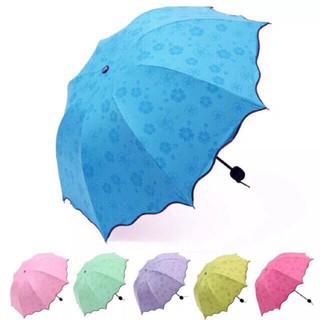 sun rain umbrella