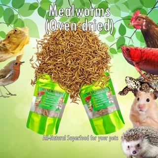 DRIED MEALWORM (25g - 600pcs) Pet Food for Fish, Birds, Hamster, Reptiles(GREENSECT)