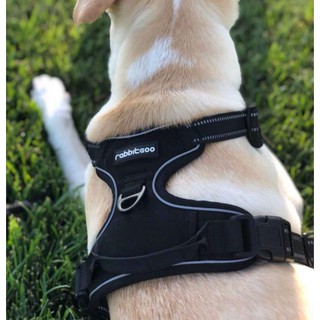 rabbitgoo dog harness