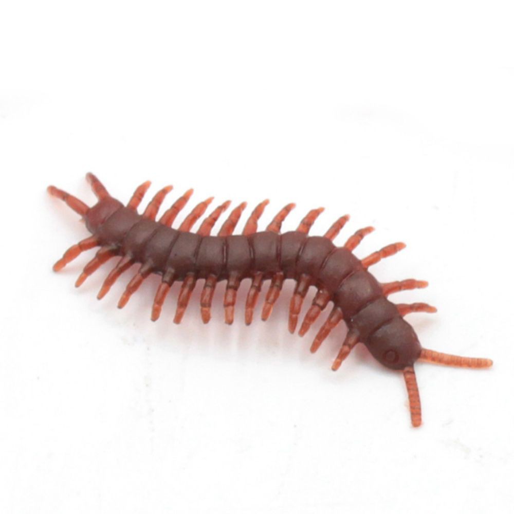 centipede toy