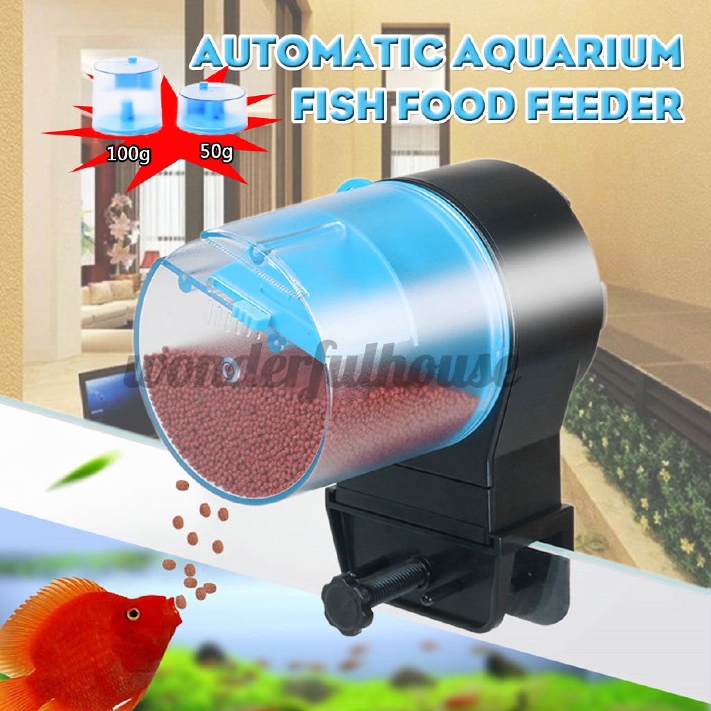 automatic feeder for turtle tank